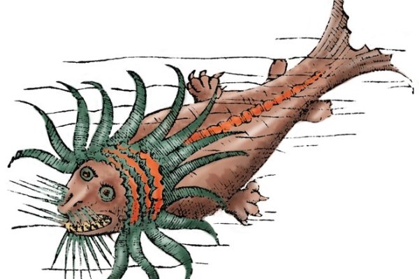 Kraken сайт магазин