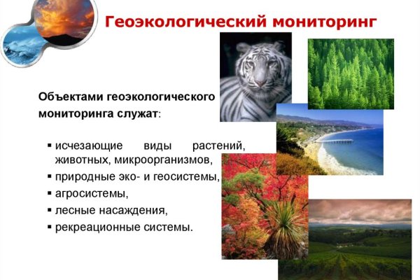 Кракен зон