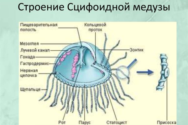 Даркнет официальный сайт на русском
