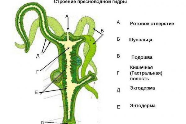 Кракен стор